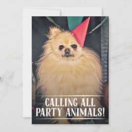 INVITACIÓN DE FOTO DEL PARTIDO DE CUMPLEAÑOS DEL m