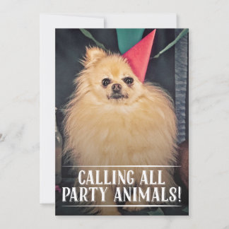 INVITACIÓN DE FOTO DEL PARTIDO DE CUMPLEAÑOS DEL m
