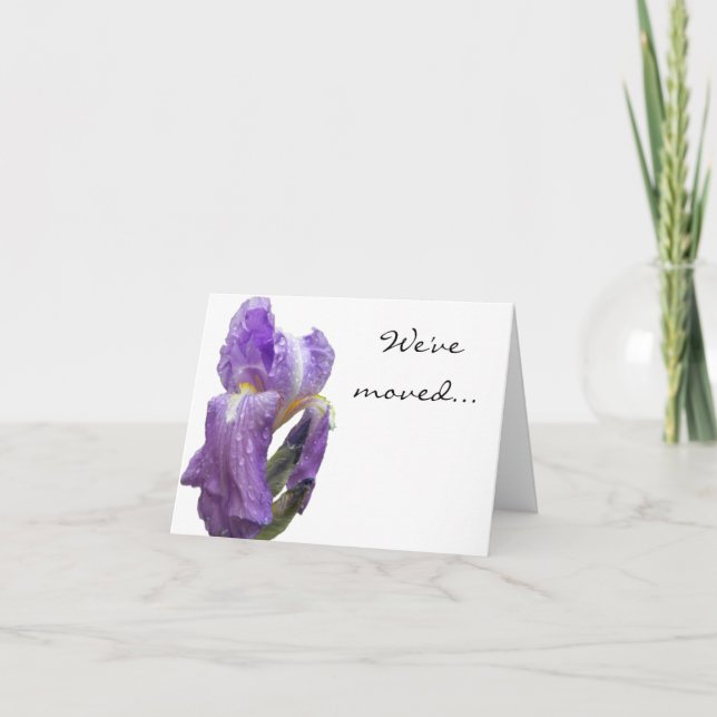 Invitación de fotografías de iris morado (Anverso)