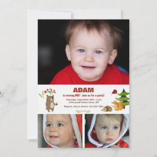 Invitación de Fotos Amigos del Bosque