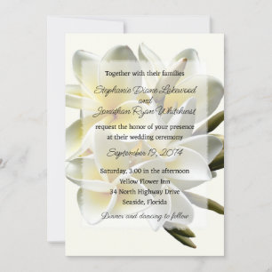 Invitación de Frangipani, Boda hawaiano