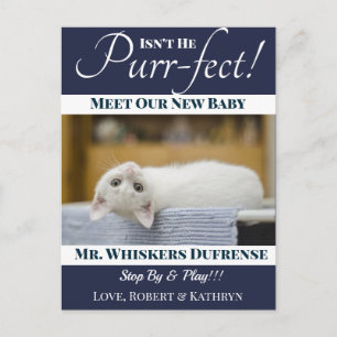 invitación de gato nueva "Purr-fect"