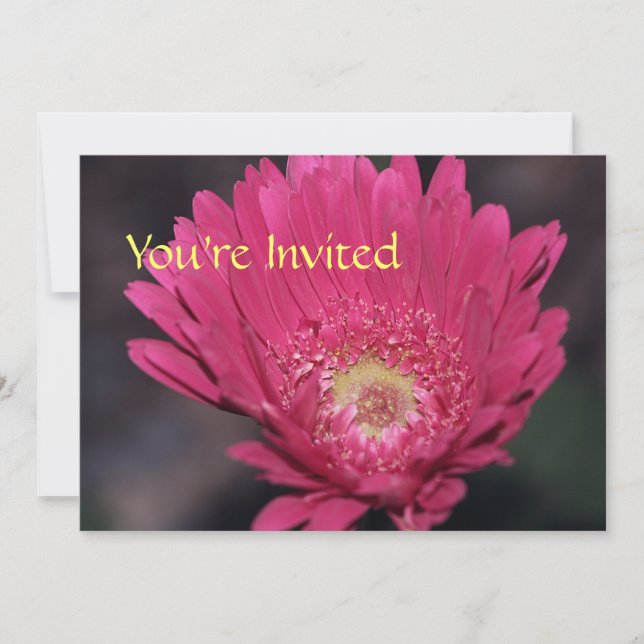 Invitación de Gerbera florecida (Anverso)