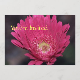 Invitación de Gerbera florecida