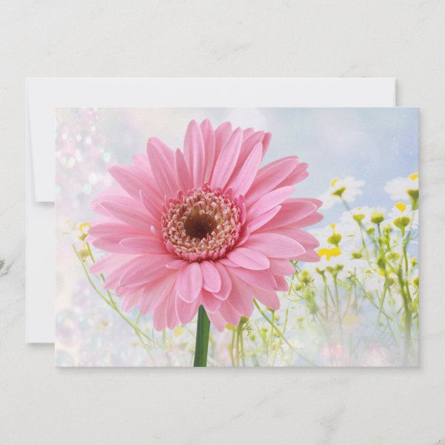 Invitación de gerbera rosa para cualquier ocasión (Anverso)