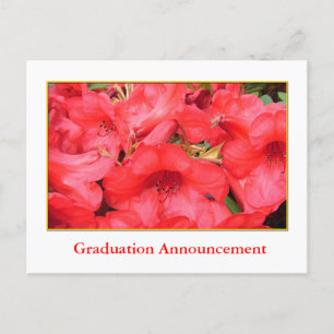 Invitación de graduación de flores de azalea roja
