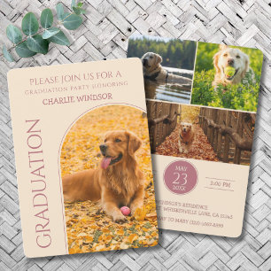 Invitación de Graduación de Perro Fotos de Mascota