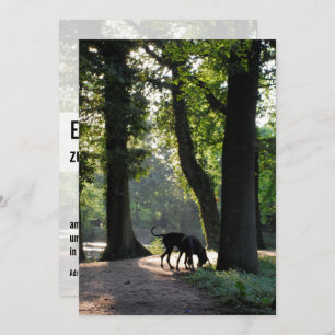 Invitación de Great Dane