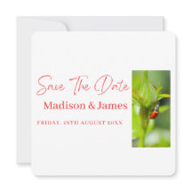 Invitación de guardar la fecha de la mariquita lin