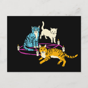 Invitación de Halloween del culto de gatos de terr