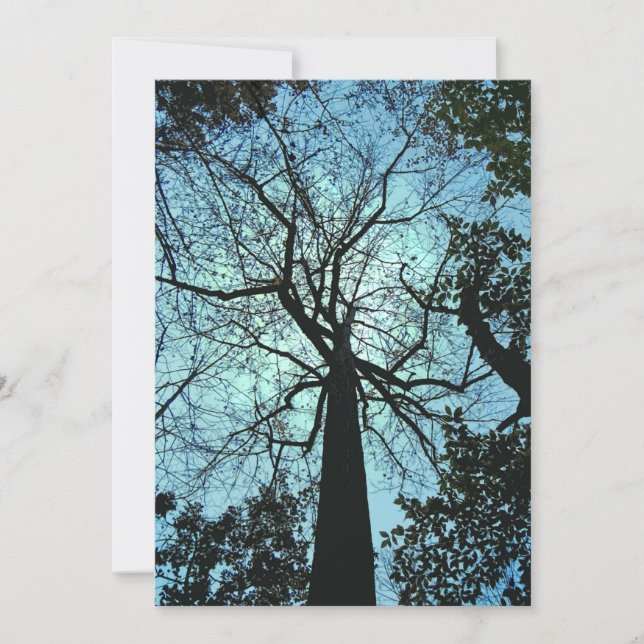 Invitación de Halloween en Halloween de Woods Haun (Anverso)