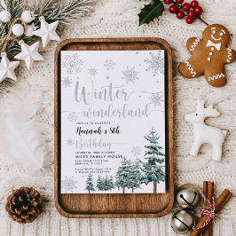 Invitación de invierno para cumpleaños de wonderla