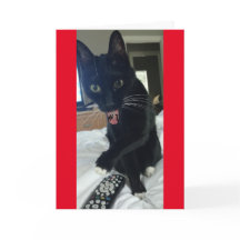 invitación de juego gato remoto