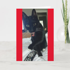 invitación de juego gato remoto