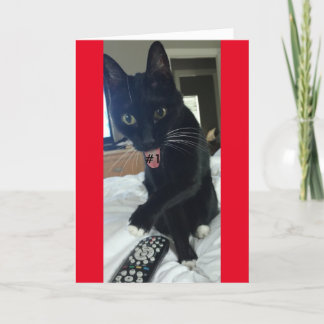 invitación de juego gato remoto