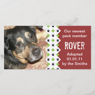 Invitación de la adopción del perro/del perrito