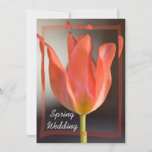 Invitación de la boda de la primavera de los tulip