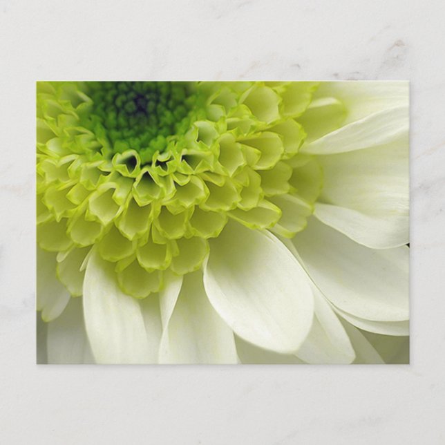 Invitación de la cal (Anverso)