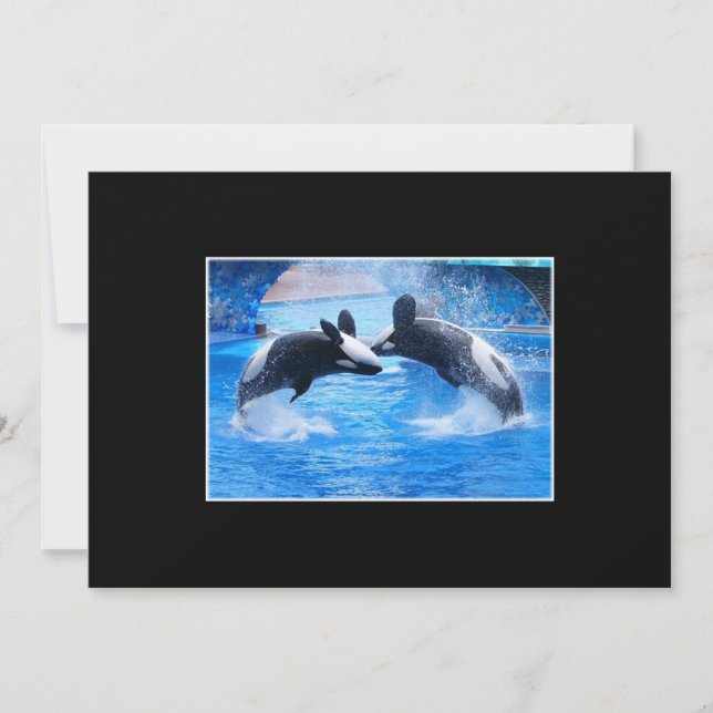 Invitación de la foto de la ballena (Anverso)