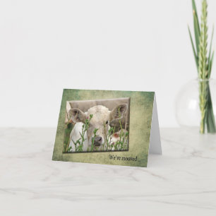 Invitación de la nueva casa