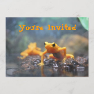 Invitación de la rana del dardo del veneno