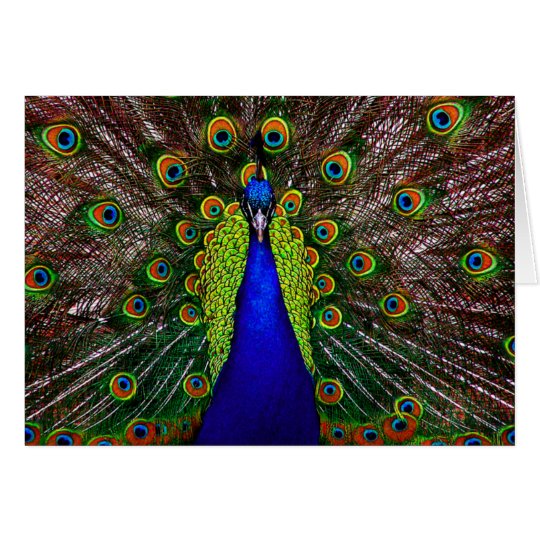Invitación de la tarjeta del pavo real