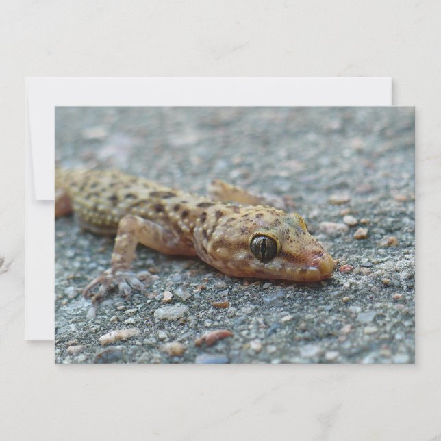 Invitación de Lizard (Anverso)