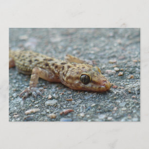 Invitación de Lizard
