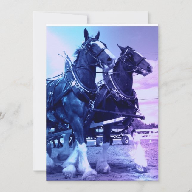 Invitación de los caballos de Clydesdale (Anverso)
