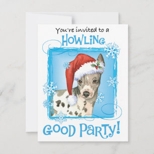 Invitación de los navidades estadounidenses sin pe