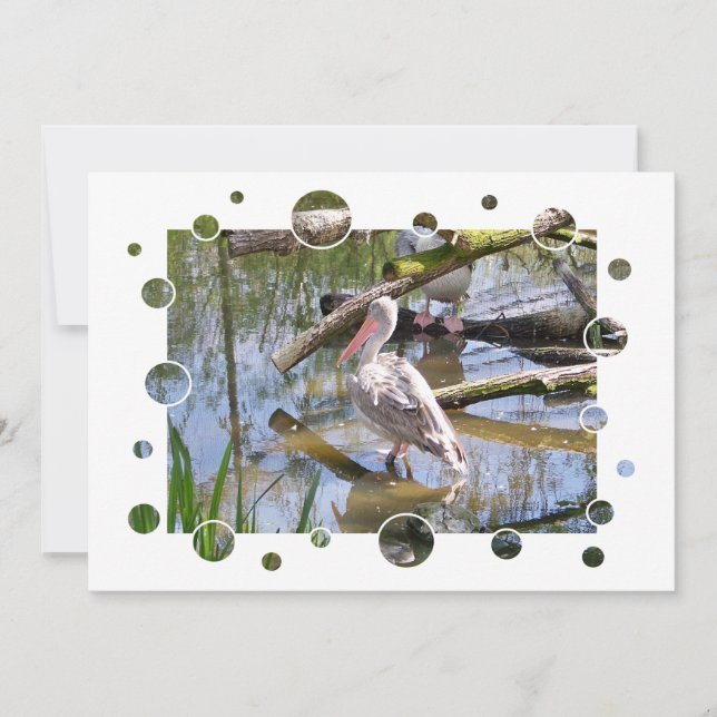 INVITACIÓN DE LOS PELICANOS (Anverso)