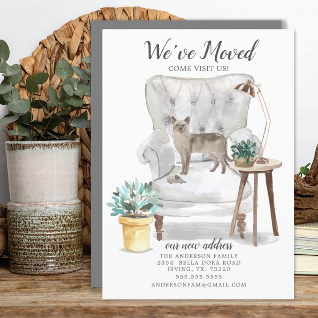 Invitación de movimiento de gato de Tonkinés (Subido por el creador)