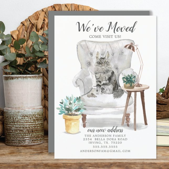 Invitación de movimiento de gato Maine Coon (Subido por el creador)