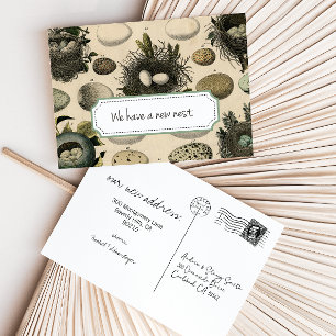 Invitación de movimiento de personalizable // Ave 