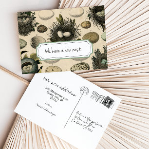 Invitación de movimiento de personalizable // Ave 