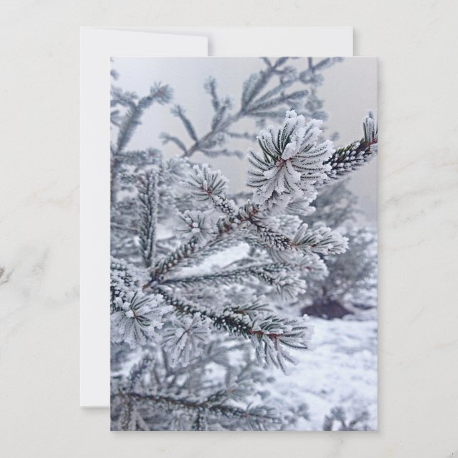 Invitación de navidades, árbol de Navidad bajo la  (Anverso)