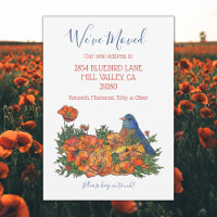 Invitación de nueva dirección de Bluebird