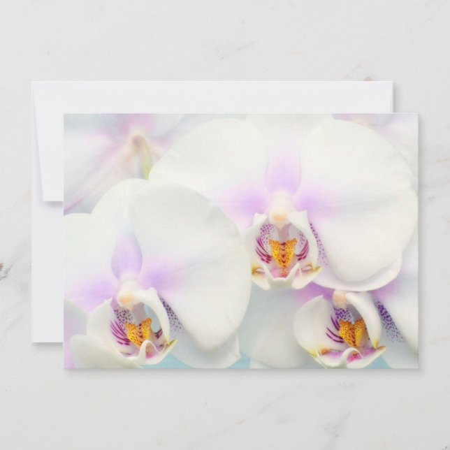 Invitación de Orquídeas Blancas (Anverso)
