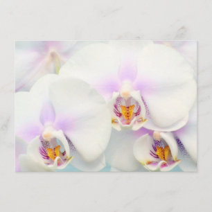 Invitación de Orquídeas Blancas