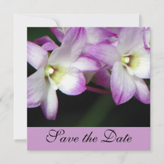 Invitación de orquídeas para guardar la fecha