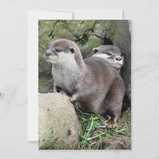 INVITACIÓN DE OTTERS (Anverso)