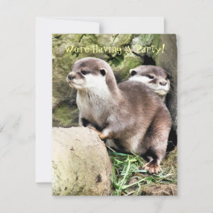 Invitación de OTTERS