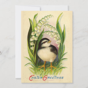 Invitación de Pajarito de Pascua