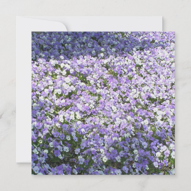 Invitación de Pansy (Anverso)