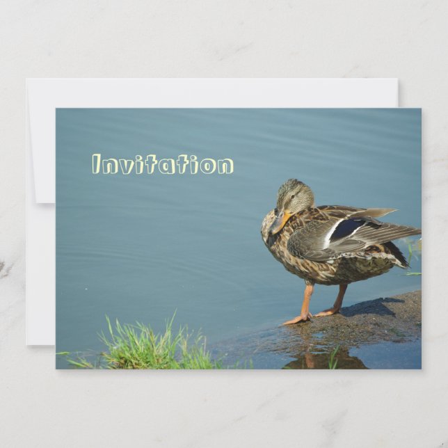 Invitación de pato (Anverso)