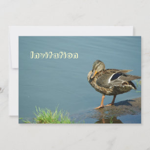 Invitación de pato