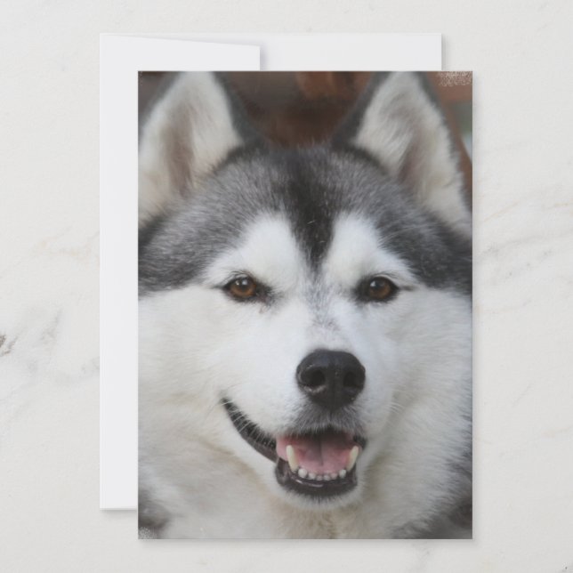 Invitación de perro Husky (Anverso)