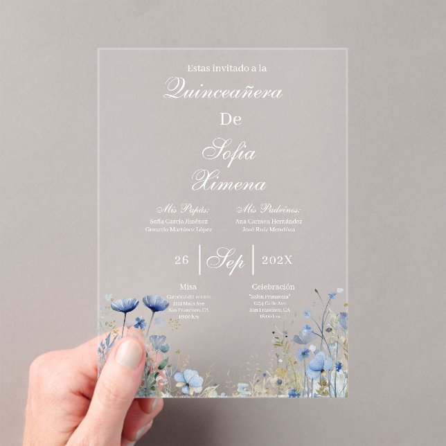 Invitación de quinceañera elegante  invitation (Insitu (portátil))