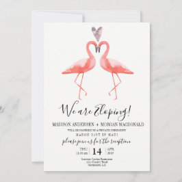 invitación de recepción de fuga de flamencos