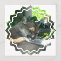 Invitación de reclinación del puma